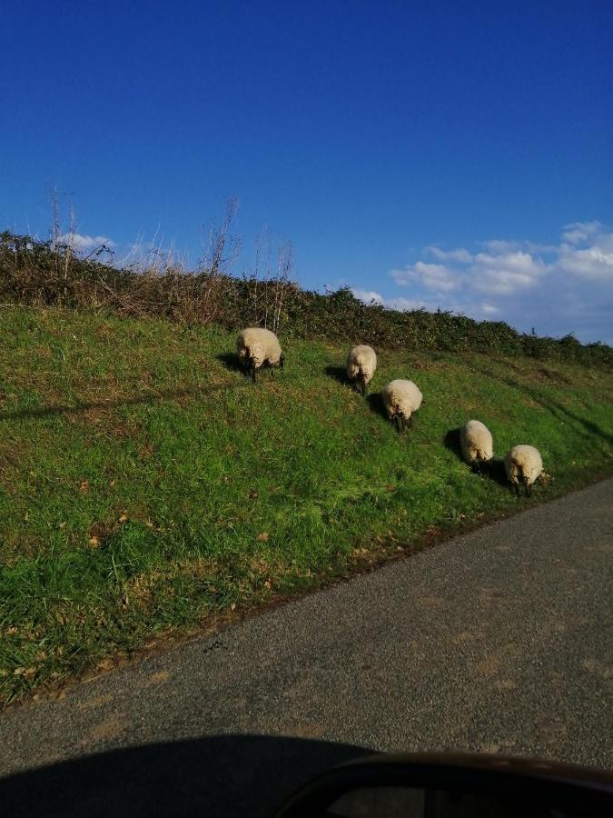 Au Repos Du Verger Couvrelles Dış mekan fotoğraf